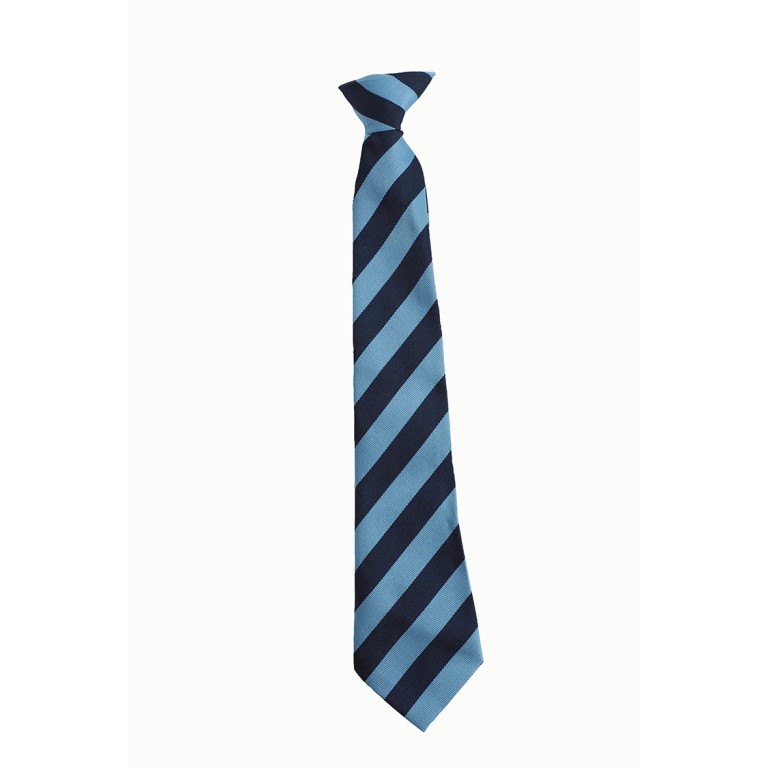 St Mary's Yrs 3&4 Navy/Sky Clip On Tie