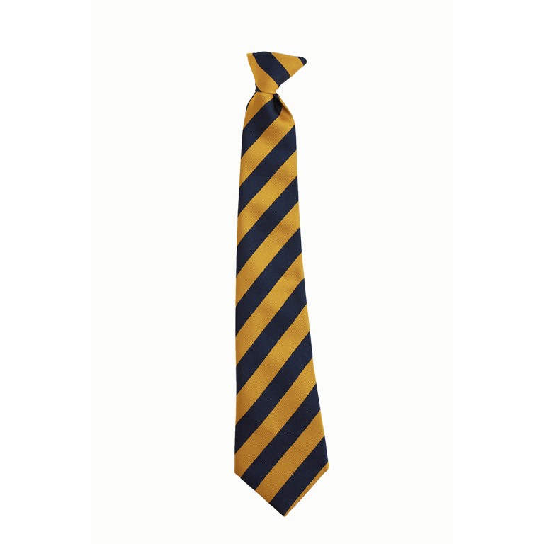 St Joseph's  R.C. Middle School Clip On Tie