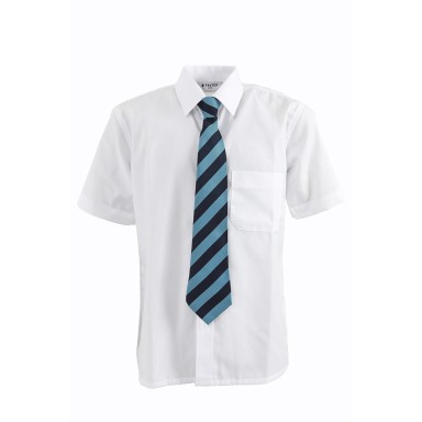 St Mary's Yrs 3&4 Navy/Sky Clip On Tie