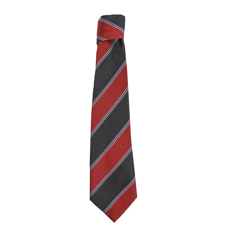 St Thomas More 6th Form Tie