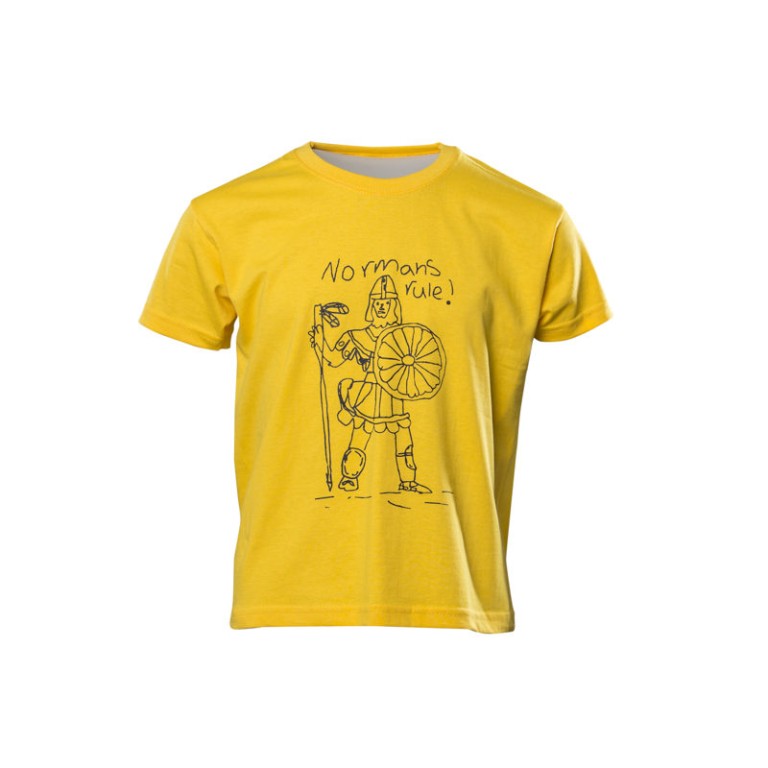 Ryton Federation Schools PE T shirt - Normans