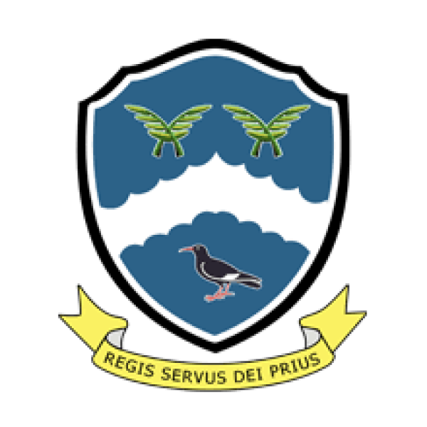 st thomas more blaydon boys year 7 to 11.