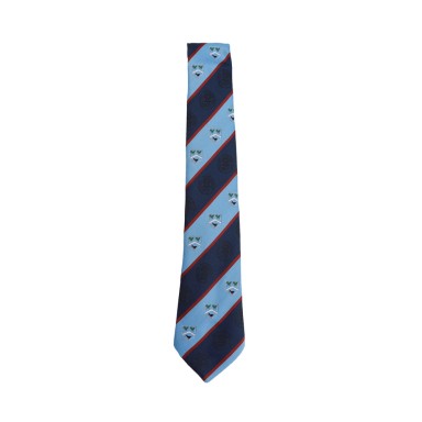 St Thomas More School Tie