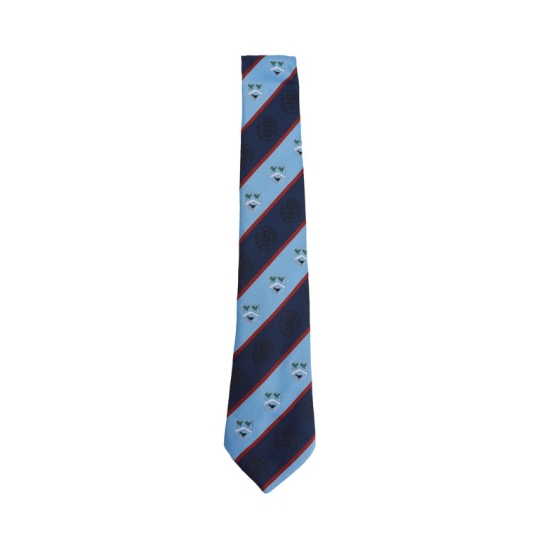 St Thomas More School Tie