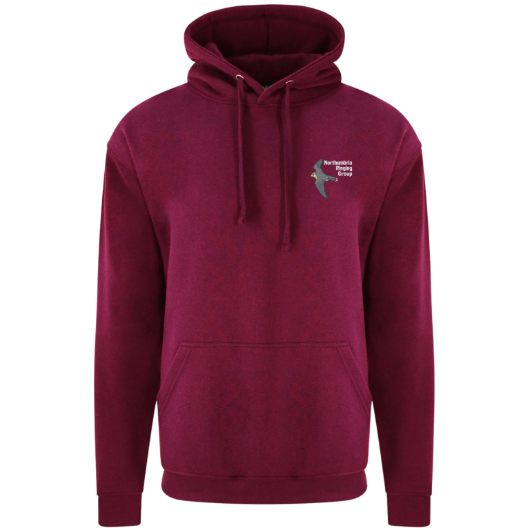 Northumbria Ringing Group hoodie