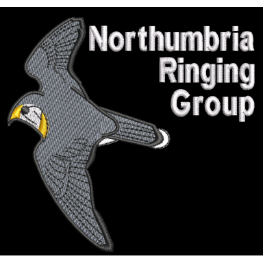 Northumbria Ringing Group sweatshirt
