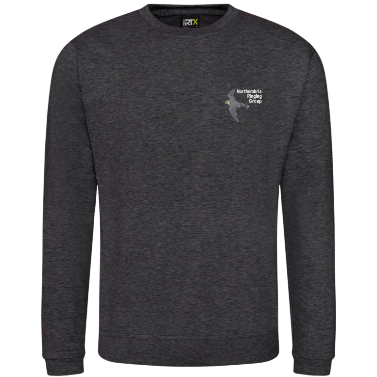 Northumbria Ringing Group sweatshirt