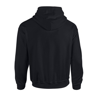 Seiken Ryu Adult Hoodie