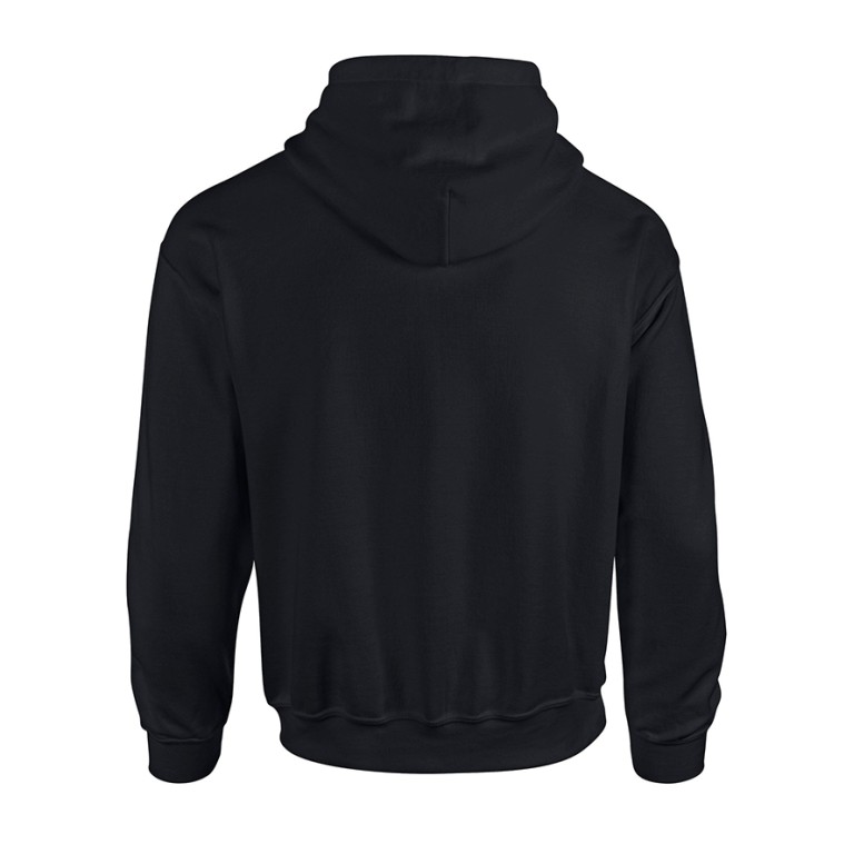 Seiken Ryu Adult Hoodie