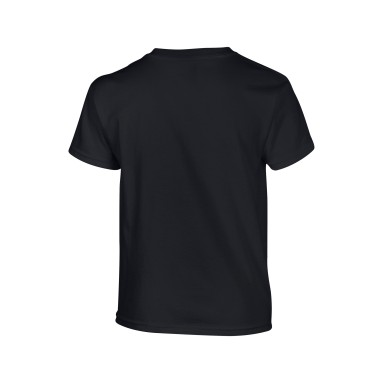 Seiken Ryu Adult T Shirt