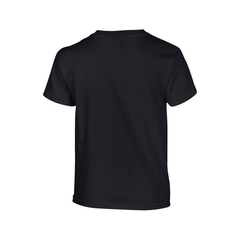 Seiken Ryu Adult T Shirt