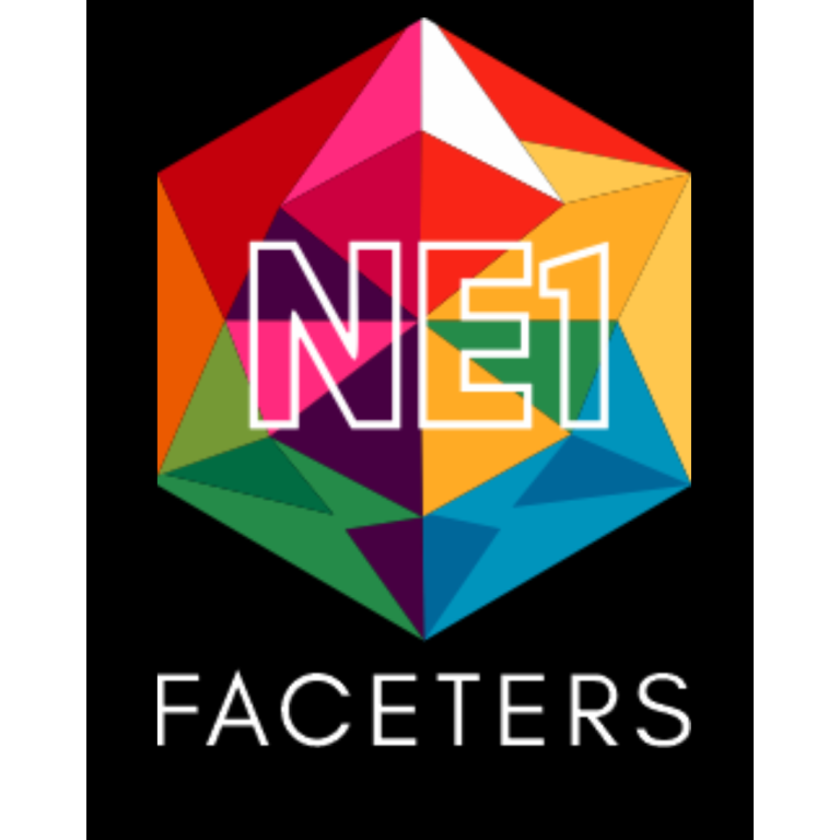 Ne1 Faceters Bodywarmer