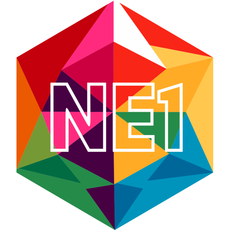 Ne1 Faceters Hoodie